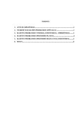 Atvejo analizė - agresyvus vaikas 2 puslapis