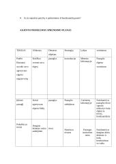 Atvejo analizė - agresyvus vaikas 11 puslapis