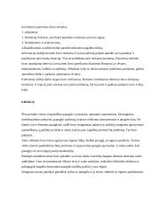 Atvejo analizė - agresyvus vaikas 12 puslapis