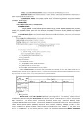 Atvejo analizė - agresyvus vaikas 4 puslapis