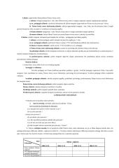 Atvejo analizė - agresyvus vaikas 6 puslapis