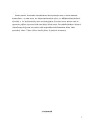 Atvejo analizė: nesirūpinimas vaiku 2 puslapis