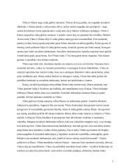 Atvejo analizė: nesirūpinimas vaiku 3 puslapis