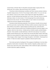 Atvejo analizė: nesirūpinimas vaiku 4 puslapis