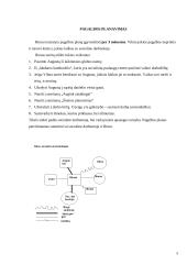 Atvejo analizė: nesirūpinimas vaiku 6 puslapis