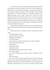 Automobilio lizingo apskaičiavimas 2 puslapis