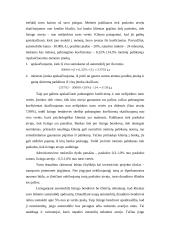 Automobilio lizingo apskaičiavimas 3 puslapis