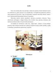 Batų parduotuvių palyginimas hierarchijų analizės metodu 3 puslapis