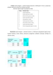 Batų parduotuvių palyginimas hierarchijų analizės metodu 6 puslapis