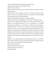 Bendra baldų pramonės rinkos apžvalga 8 puslapis