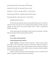 Biržų veikla 9 puslapis