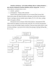 Chemija apie druskas 7 puslapis