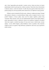 Civilizacijos įtampos Lietuvoje 7 puslapis