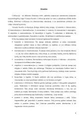 Civilizacijos įtampos Lietuvoje 8 puslapis