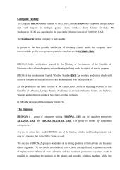 Company analysis: UAB "Hronas" 2 puslapis