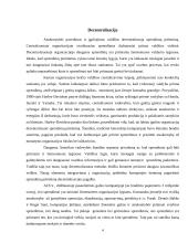 Decentralization 4 puslapis