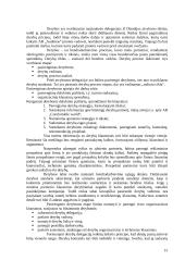 Delegacijos iš Olandijos vizito Lietuvoje vadyba 15 puslapis