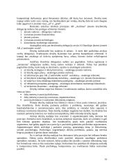 Delegacijos iš Olandijos vizito Lietuvoje vadyba 16 puslapis