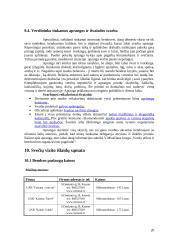 Delegacijos iš Olandijos vizito Lietuvoje vadyba 20 puslapis