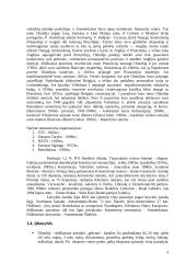 Delegacijos iš Olandijos vizito Lietuvoje vadyba 6 puslapis