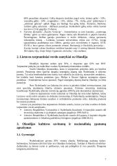 Delegacijos iš Olandijos vizito Lietuvoje vadyba 7 puslapis