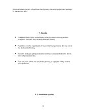 Derybų organizavimas ir vedimas tarp AB "Sportinė aviacija" ir  "Mecaplex Switzerland" 19 puslapis