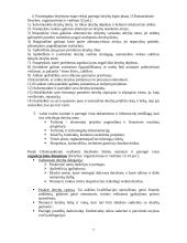 Derybų organizavimas ir vedimas tarp AB "Sportinė aviacija" ir  "Mecaplex Switzerland" 7 puslapis