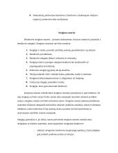 Dukterinių patronuojančių bendrovių steigimas 3 puslapis
