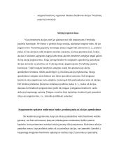 Dukterinių patronuojančių bendrovių steigimas 4 puslapis