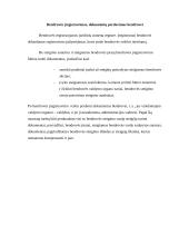 Dukterinių patronuojančių bendrovių steigimas 7 puslapis