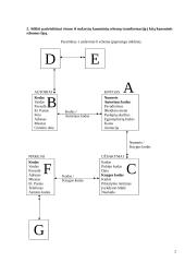 Duomenų bazių schemos 3 puslapis