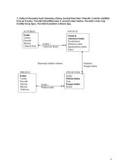 Duomenų bazių schemos 5 puslapis