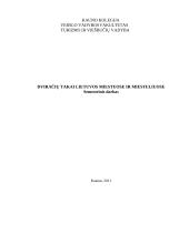 Dviračių takai Lietuvos miestuose ir miesteliuose