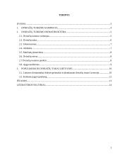 Dviračių takai Lietuvos miestuose ir miesteliuose 2 puslapis