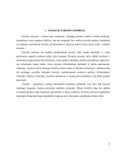 Dviračių takai Lietuvos miestuose ir miesteliuose 4 puslapis