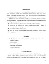 Dviračių takai Lietuvos miestuose ir miesteliuose 7 puslapis