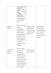 Edukologijos katedros užduotys 4 puslapis