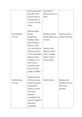 Edukologijos katedros užduotys 6 puslapis