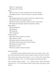 Edukologija  - žmogaus ugdymo mokslas. Pagrindinės edukologijos sąvokos 6 puslapis