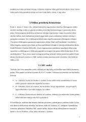 Efektyvus savo darbo laiko valdymas 7 puslapis