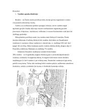 Ekologijos užduotys 2 puslapis