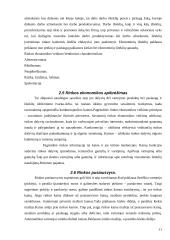 Ekonomika - rinkos ekonomika 11 puslapis