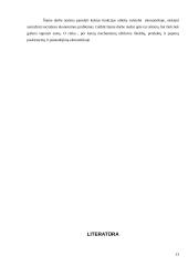 Ekonomika - rinkos ekonomika 13 puslapis