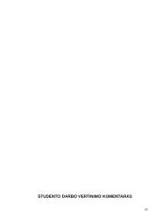 Ekonomika - rinkos ekonomika 16 puslapis