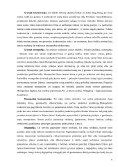 Ekonomika - rinkos ekonomika 9 puslapis