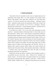 Ergonominis biuro vietos įrengimas 5 puslapis