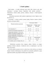 Ergonominis biuro vietos įrengimas 8 puslapis