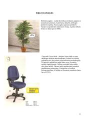 Ergonomika ir darbo esmė 11 puslapis