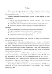 Ergonomika ir darbo esmė 3 puslapis