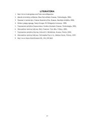 Euroobligacijų pagrindai 17 puslapis